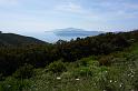 ELBA2019 (250)